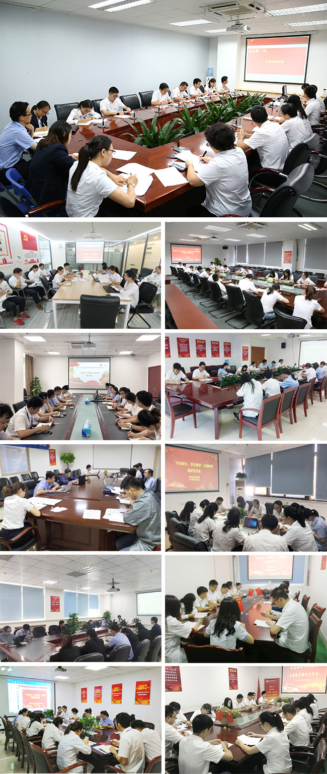 廣電計(jì)量黨委及全國24個(gè)支部召開“不忘初心 牢記使命”專題民主生活會(huì)和組織生活會(huì)