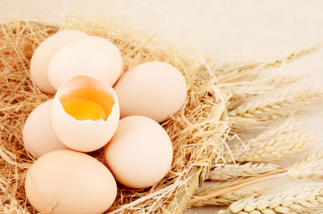 雞蛋檢測：氟苯尼考、恩諾沙星等獸藥殘留的解讀_廣電計量